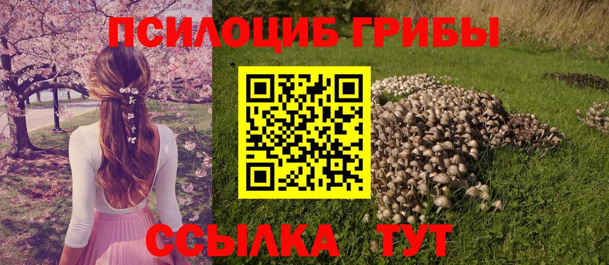 Псилоцибиновые грибы Cubensis  Вход с VPN  Галлюциногенные грибы прущие грибы  Богородицк 